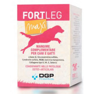 fortleg maxi polvere 150g bugiardino cod: 932220027 fortleg maxi polvere 150g bugiardino cod: 932220027